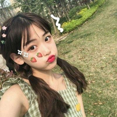 家谱